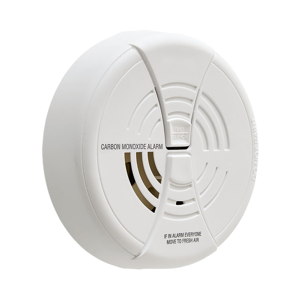 Carbon Monoxide Alarm at an angle