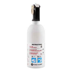 Home Fire Extinguishers